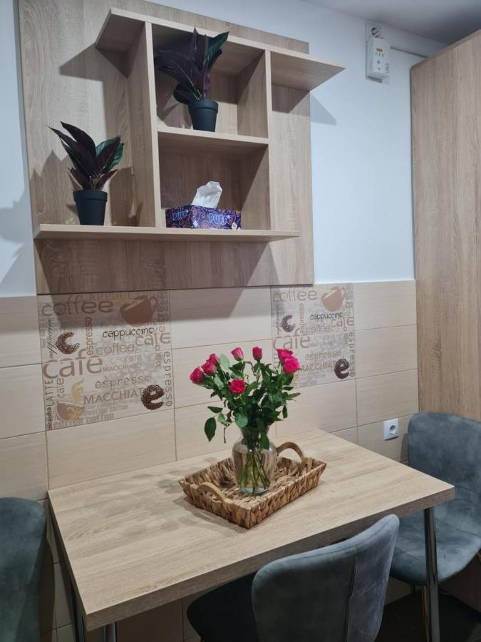 Apartament Modern Cristina&Jessica Medias Luaran gambar