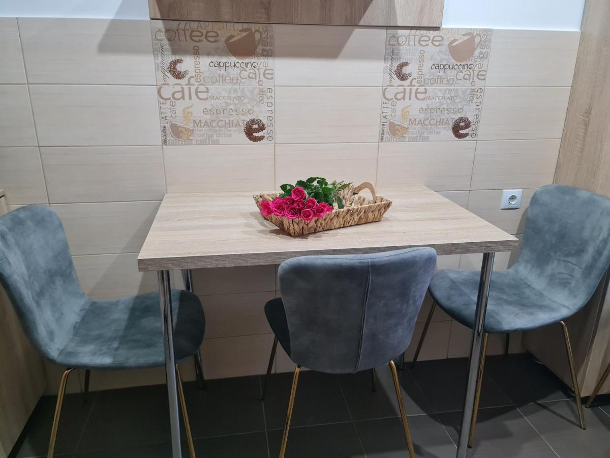 Apartament Modern Cristina&Jessica Medias Luaran gambar
