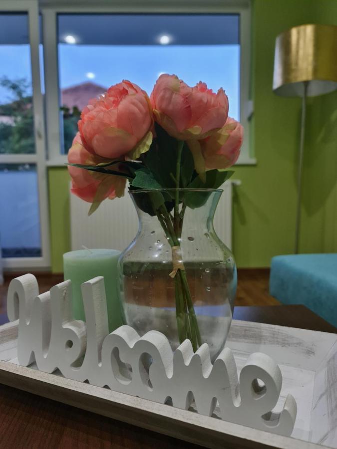 Apartament Modern Cristina&Jessica Medias Luaran gambar